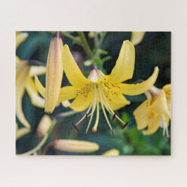 16x20, 520 stuks, puzzel legpuzzel