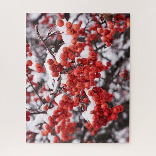 16x20, 520 stuks, puzzel legpuzzel (Verticaal)