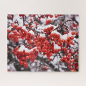 16x20, 520 stuks, puzzel legpuzzel (Horizontaal)