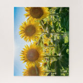 16x20, 520 stuks, puzzel legpuzzel (Verticaal)