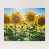 16x20, 520 stuks, puzzel legpuzzel (Horizontaal)