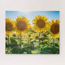 16x20, 520 stuks, puzzel legpuzzel