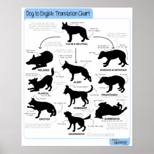 16x20 Body Language Poster