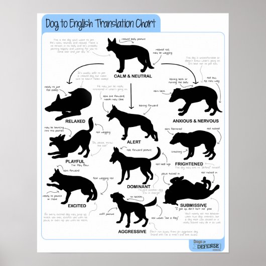 16x20 Body Language Poster (Voorkant)