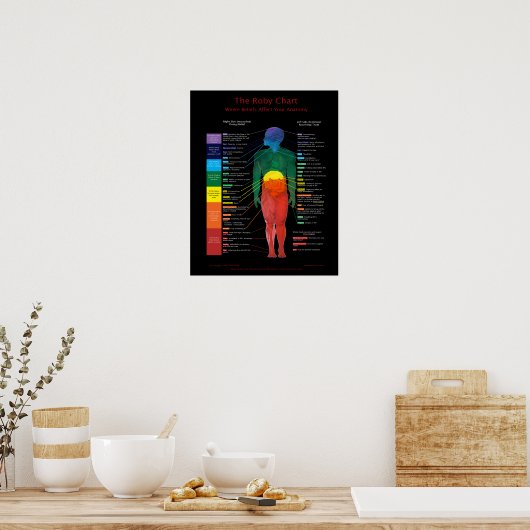 16x20-inch Roby Chart:waar overtuigingen de anatom Poster (Keuken)