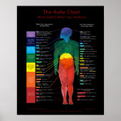 16x20-inch Roby Chart:waar overtuigingen de anatom Poster (Voorkant)