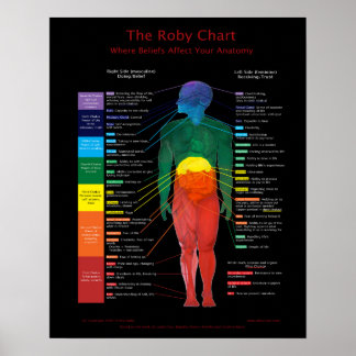 16x20-inch Roby Chart:waar overtuigingen de anatom Poster