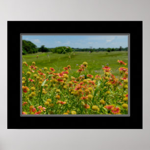 16x20 Indiase Blanket Wildflower Poster