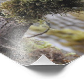 16X20-kantrecht in Big Leaf Maple Tree Foto Afdruk (Hoek)