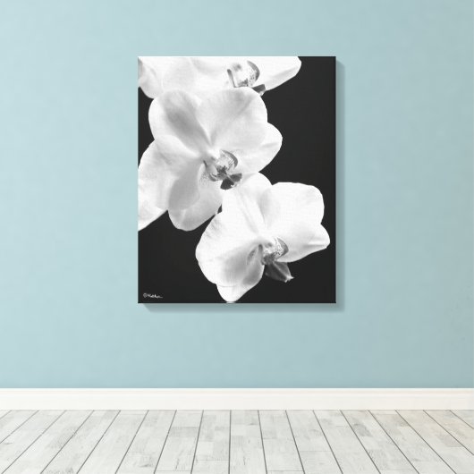 16x20 orchideeën in zwart & wit verpakt canvas kun (Insitu (Houten vloer))