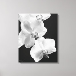 16x20 orchideeën in zwart & wit verpakt canvas kun