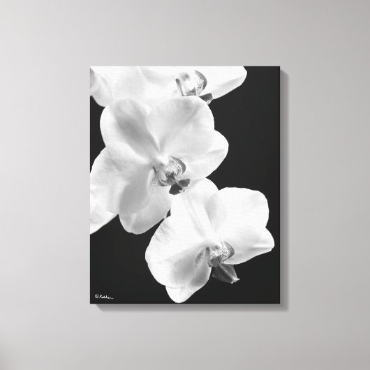 16x20 orchideeën in zwart & wit verpakt canvas kun (Voorkant)
