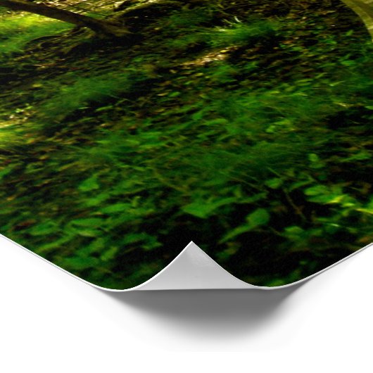 16x20 Poster - Bosbouwpad (Hoek)