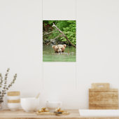 16x20 Poster papier (Matte) met grizzly beer cub (Keuken)