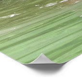 16x20 Poster papier (Matte) met grizzly beer cub (Hoek)