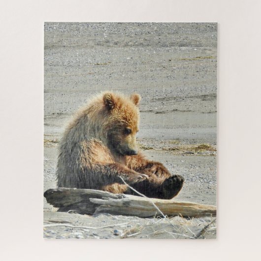 16x20 Puzzle of grizzly beer cub Legpuzzel (Verticaal)