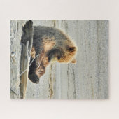 16x20 Puzzle of grizzly beer cub Legpuzzel (Horizontaal)