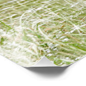 16x20 Ventilatorfoto van de molen Foto Afdruk (Hoek)