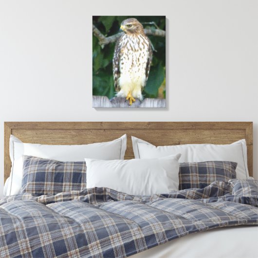 16x20 Verpakt Canvas (Glans) met valk (Insitu (Slaapkamer))