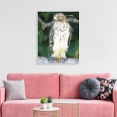 16x20 Verpakt Canvas (Glans) met valk (Insitu (Woonkamer))