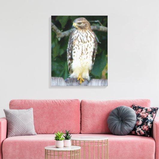 16x20 Verpakt Canvas (Glans) met valk (Insitu (Woonkamer))