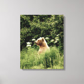 16x20 Wrapped Canvas (glanzend) met grizzly beer (Voorkant)