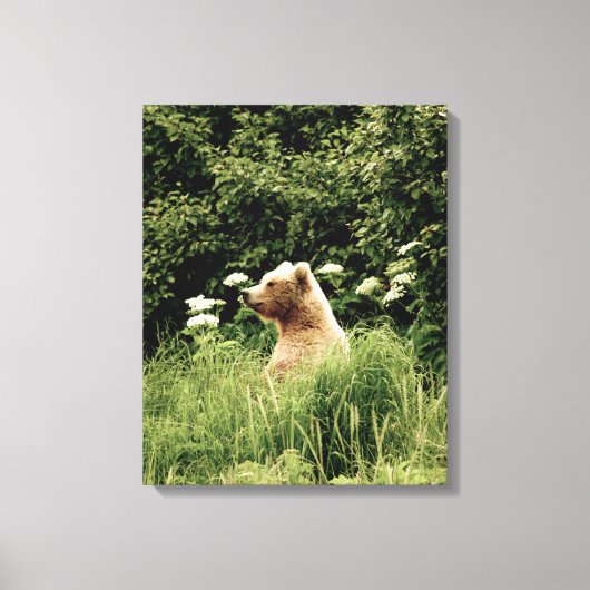 16x20 Wrapped Canvas (glanzend) met grizzly beer (Voorkant)