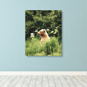 16x20 Wrapped Canvas (glanzend) met grizzly beer (Insitu (Houten vloer))