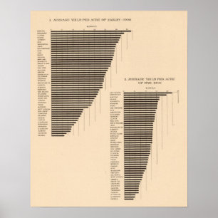 171 Gerst, rogge/acre Poster