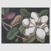  1731 Magnolia Flower Pod-papier Tissuepapier (Voorkant)