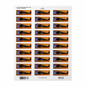 173e ABN Airborne Brigade sky soldaten patrouille Etiket (Full Sheet)