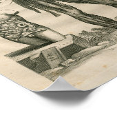 1741 Spieranatomie Afdrukken Poster (Hoek)