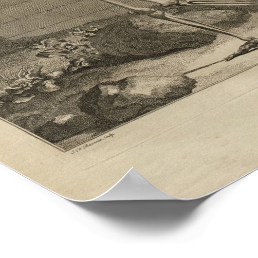  1749 Skeletanatomie Afdrukken Poster (Hoek)