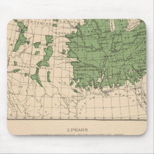 174 Appelen, peren, hoofdgebieden Muismat