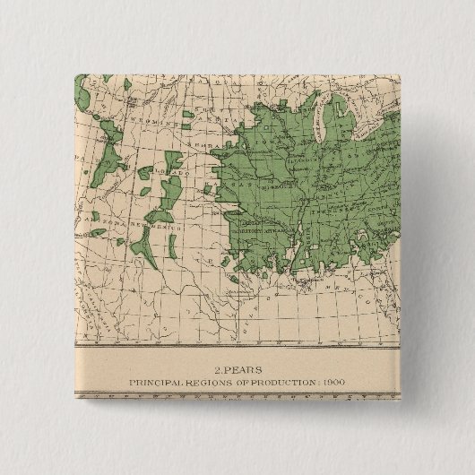 174 Appelen, peren, hoofdgebieden Vierkante Button 5,1 Cm (Voorkant)