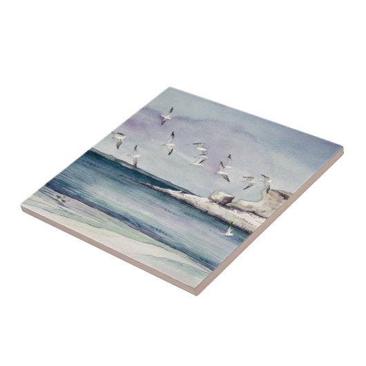 1774 Seagulls bij Sandy Beach Tegeltje (Zijkant)