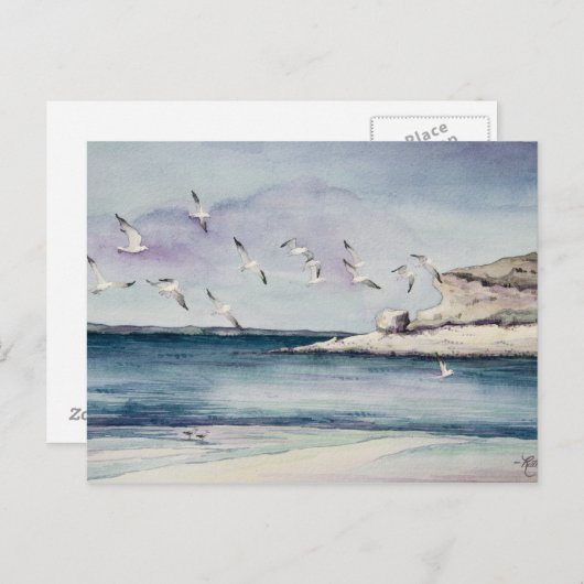 1774 Seagulls op het Briefkaart van Sandy Beach (Voorkant / Achterkant)