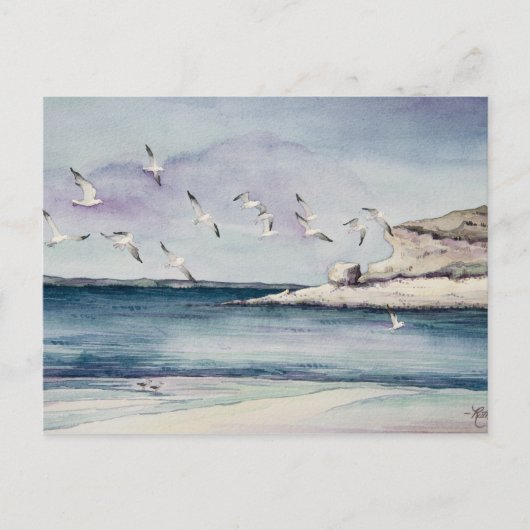 1774 Seagulls op het Briefkaart van Sandy Beach (Voorkant)