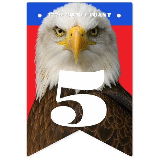 1776–2026 • 16-Flag Celebration Banner, Editable Vlaggetjes (Dertiende vlag)