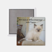 178, RW SGCA Willowtreerags' Iers Fancy Magneet