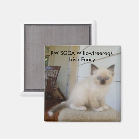 178, RW SGCA Willowtreerags' Iers Fancy Magneet (Voorkant / Achterkant)