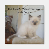 178, RW SGCA Willowtreerags' Iers Fancy Magneet (Voorkant)