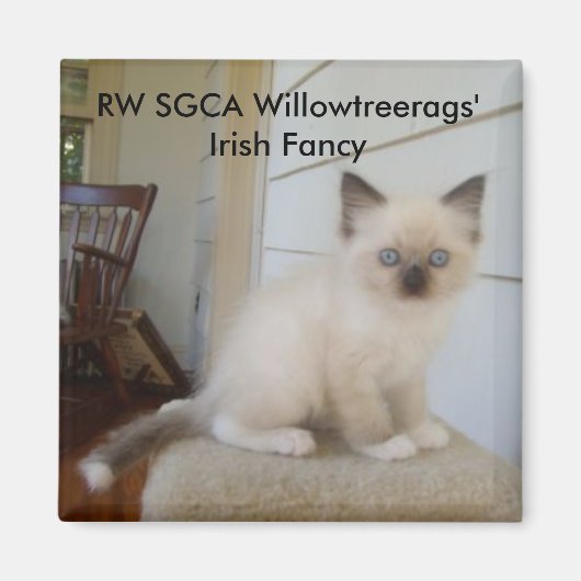 178, RW SGCA Willowtreerags' Iers Fancy Magneet