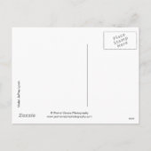 17979 Kerstmis Feestdagenkaart (Achterkant)