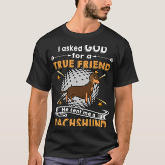179 Ik vroeg God om een echte vriend, hij stuurde T-shirt