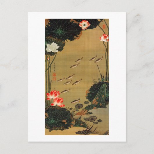 17. 蓮 魚 図, 若 冲 met de Lotus, Jakuchu Briefkaart (Voorkant)
