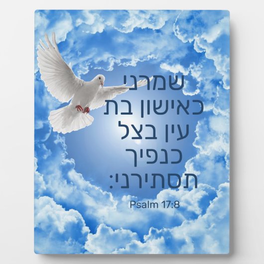 17:8 FOTOPLAAT (Voorkant)