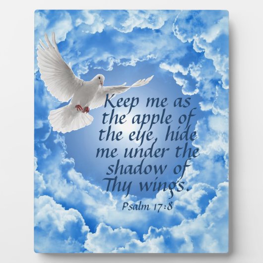 17:8 FOTOPLAAT (Voorkant)