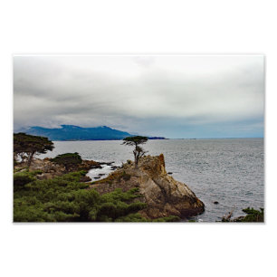 17 Mile Drive Foto Afdruk