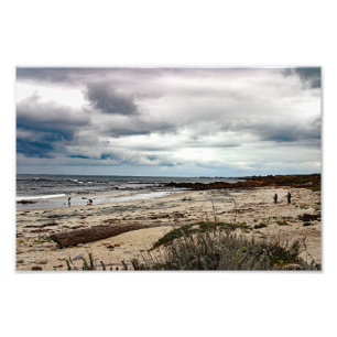 17 Mile Drive Foto Afdruk